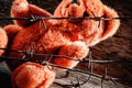 Concept: lost childhood, loneliness and pain. Dirty teddy bear behind barbed wire