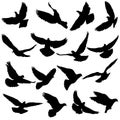 Concept of love or peace. Set silhouettes doves Royalty Free Stock Photo