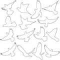 Concept of love or peace. Set of silhouettes of doves. Vector illustration