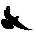 Concept of love or peace silhouettes doves