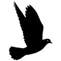 Concept of love or peace silhouettes doves