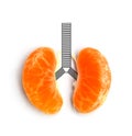 Concept lung orange