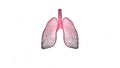 3d rendering of engraved illustration of lungs structure of human with its functioning parts.