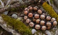 Ancient symbols and alphabet, runes lie next to the objects for the ceremony. Magic symbols or runes are used as a talisman