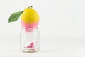 Concept: manipulation of human GMO of nature and related poisoned fruits. Close-up of a glass jar with a contaminated lemon Royalty Free Stock Photo