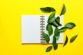 A concept of minimalist lifestyle composition. Ruskus green leaves frame and white pages with place for text, on yellow background Royalty Free Stock Photo