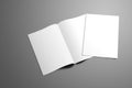 Concept mockup with two blank A4, A5 bi-fold brochure with s Royalty Free Stock Photo