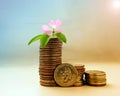 The concept of money growth, the success and prosperity Royalty Free Stock Photo