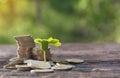 Concept of money tree growing from money. Financial and saving