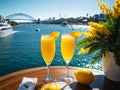 Morning Bliss Citrusy Delight at a Sydney Harbour Mimosa Brunch.AI Generated