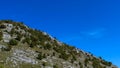 The concept of a mountain desert. Shrubs on a hill with stones. On the way to the mountain Bjelasnica Royalty Free Stock Photo