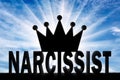 Concept of narcissism as a social problem