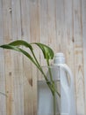 The concept of natural detergent natural remedy. Green leaves in water on a background of a bottle with detergent. Wooden ancient