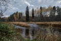 Concept of nature and environment. Birch trees yellow leaves. Landscape of central Russia in mid autumn. National park Royalty Free Stock Photo