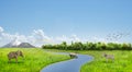 Concept of nature. Meadow with animals, forest