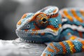 Concept Nature Photography, Animal Behavior, Color Chameleons Monochrome to Color Symphony