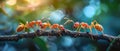 Ants in Harmony: Teamwork on a Twig Bridge. Concept Nature Photography, Macro Shots, Insect World, Royalty Free Stock Photo