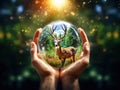 Concept Nature reserve conserve Wildlife reserve tiger Deer warming Food Loaf Ecology hands protecting the wild and