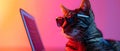 Cool Cat Coding in Neon Vibes. Concept Neon Lights, Coding, Cool Cat, Technology, Aesthetic