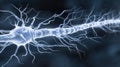 Concept of neurogenesis showing brain cell development and cognitive growth Royalty Free Stock Photo