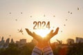 Concept of New Year 2024 with hopes for peace