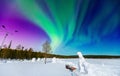 Concept Northern Lights travel banner. Arctic polar bears against background of aurora borealis and night starry sky