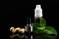 Concept of nut and mint flavors for electronic cigarettes on a black background Royalty Free Stock Photo