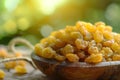 Healthy snack Dried golden raisins are a delicious and nutritious treat. Concept Nutritious snacks,