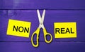 Concept of motivation. the inscription `non real` and scissors between them. goal achievement, potential overcoming.