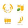 Set of organic wheat grain icons. Vector logo or label design elements. Cereals flat illustration Royalty Free Stock Photo