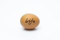 The concept of the origin of life, the egg as a symbol of life