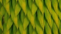 Overlapping shadevaried palm leaf pattern replicates a moving palm tree canopy
