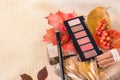 The concept of a palette of autumn paints in a stick of shadows shade nude for makeup.
