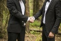 Closeup of handshake of business partners on the background of nature Royalty Free Stock Photo
