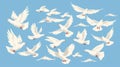 The concept of peace and freedom is expressed in a flock of birds soaring and gliding in the air. White doves fly