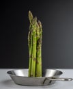 Concept photo, a bunch of huge asparagus stands in the center of a small steel pan on a black and white background Royalty Free Stock Photo