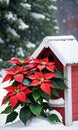 Photo Of Christmas Poinsettia Plant Beside A Snow-Covered Birdhous. Generative AI