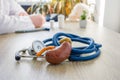 Concept photo of diagnosis and treatment of kidneys. In foreground is model of kidney near stethoscope on table in background blur Royalty Free Stock Photo