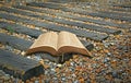 Spiritual bible tracks path divine faith open holy book Royalty Free Stock Photo