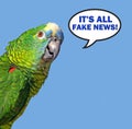 Parrot speech bubble saying fake news Royalty Free Stock Photo