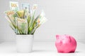 Concept photo of a pot of money and a pink piggy bank financial Royalty Free Stock Photo