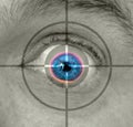 Biometrics retina eye scan security check surveillance Royalty Free Stock Photo