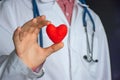 Concept photo of study or diagnosis in cardiology. Doctor cardiologist in white holds in his hand model of human card heart, provi
