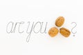 Illustrated phrase Are you nuts Royalty Free Stock Photo