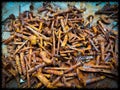 A concept pic of slow damage rusting process in iron nails and nut bolts Royalty Free Stock Photo