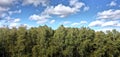 Concept picture, half green with a dense deciduous forest, half blue and white sky, from aerial photograph