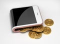 Concept Of Pink Digital Wallet And Bitcoins