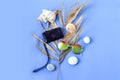 The concept of pleasant travel .Camera, shells, sea stones, sunglasses on a dry palm branch, blue background, top view Royalty Free Stock Photo