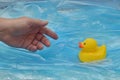 Concept Pollution Plastic In Sea with Yellow Rubber Duck and Man Hand Royalty Free Stock Photo