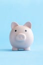concept of preserving and saving money. piggy bank on a blue background. muzzle, front view, vertical photo Royalty Free Stock Photo